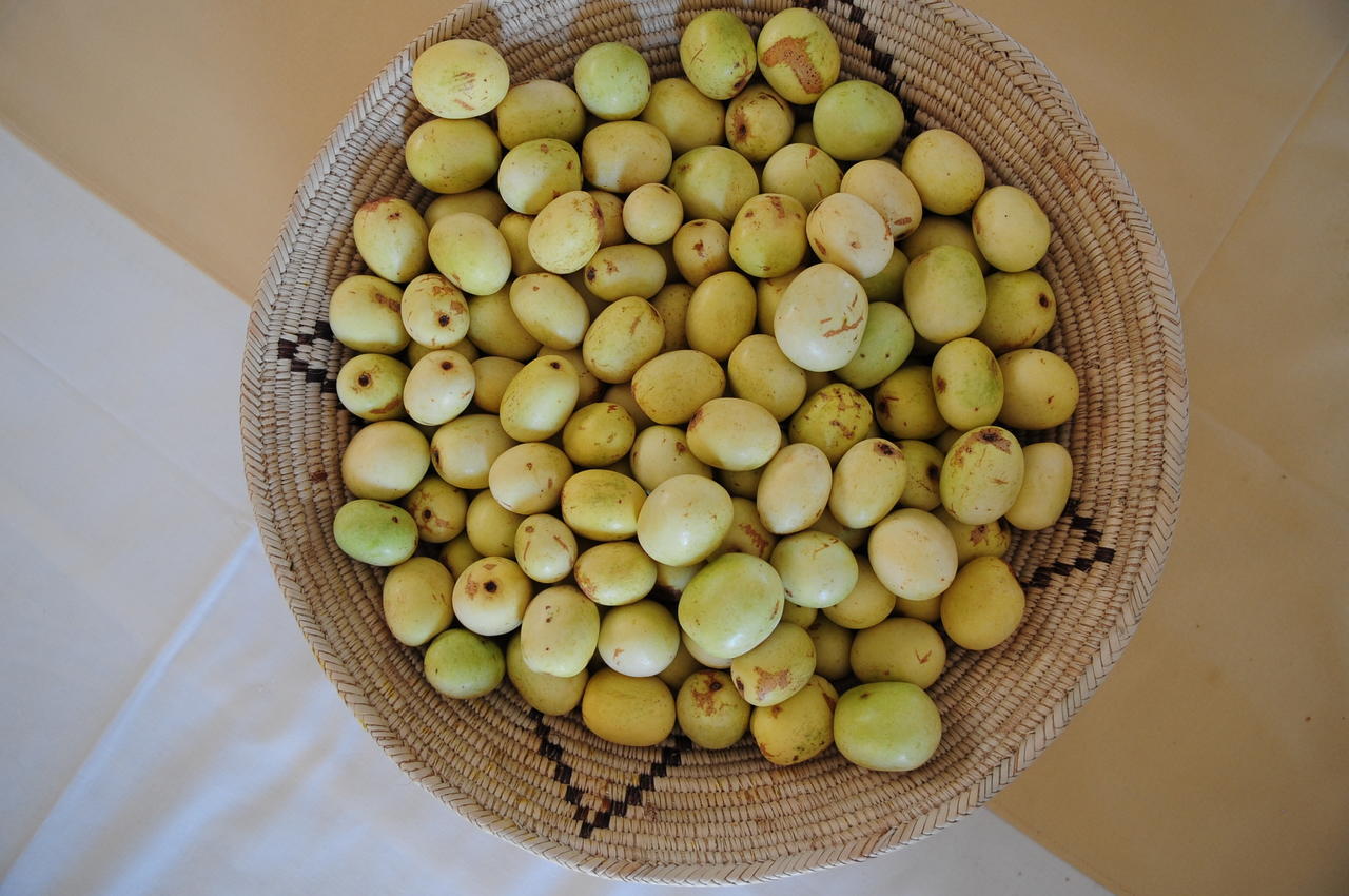 Omupumba Ongula Village Homestead Lodge מראה חיצוני תמונה